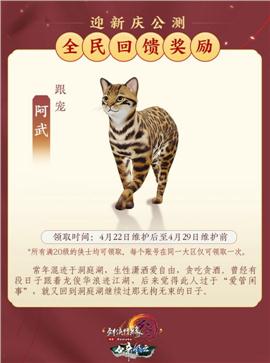 天龙八部私服 tcl